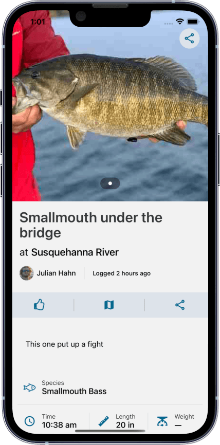 Example view catch screen