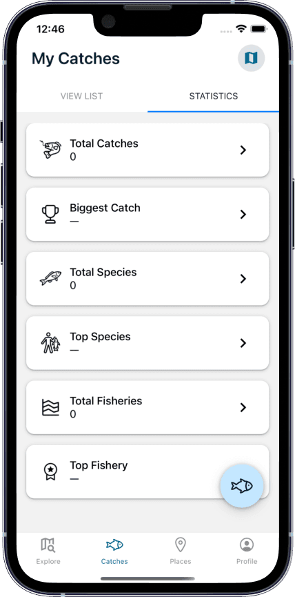 Example statistics screen